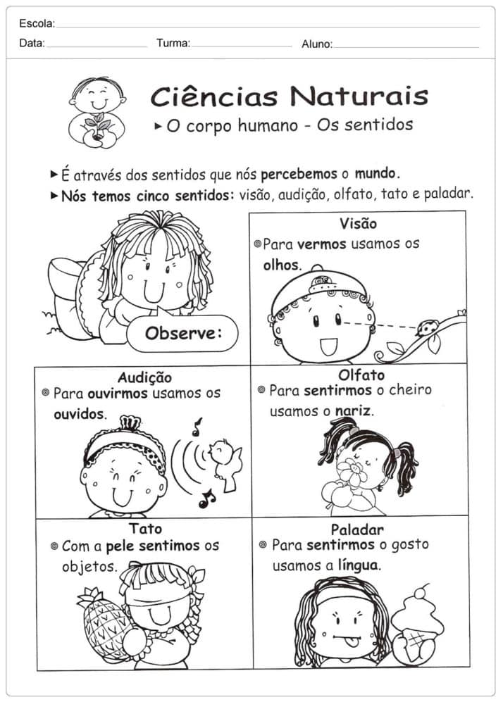 Atividades sobre os cinco sentidos para praticar em sala de aula