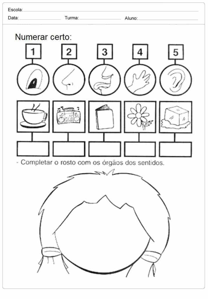 Atividades sobre os cinco sentidos para praticar em sala de aula